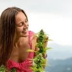 The Health Advantages of Cannabis