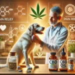 Evidence-Based CBD Solutions: A Comprehensive Guide for Veterinary Pain Treatment